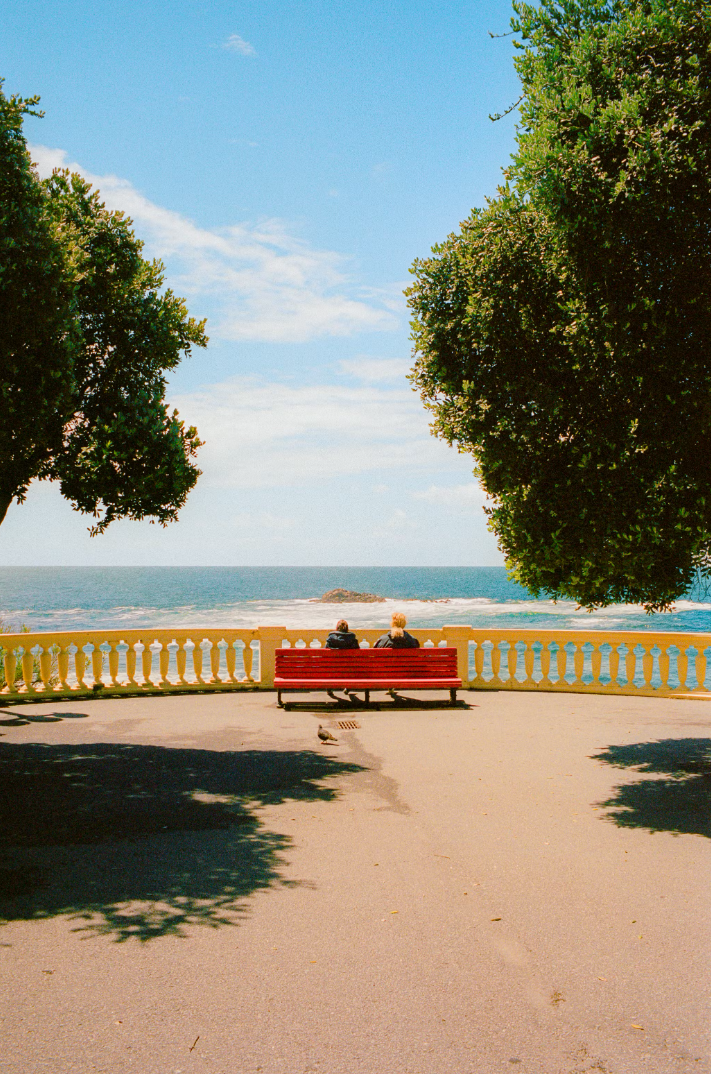 Afternoon Reverie