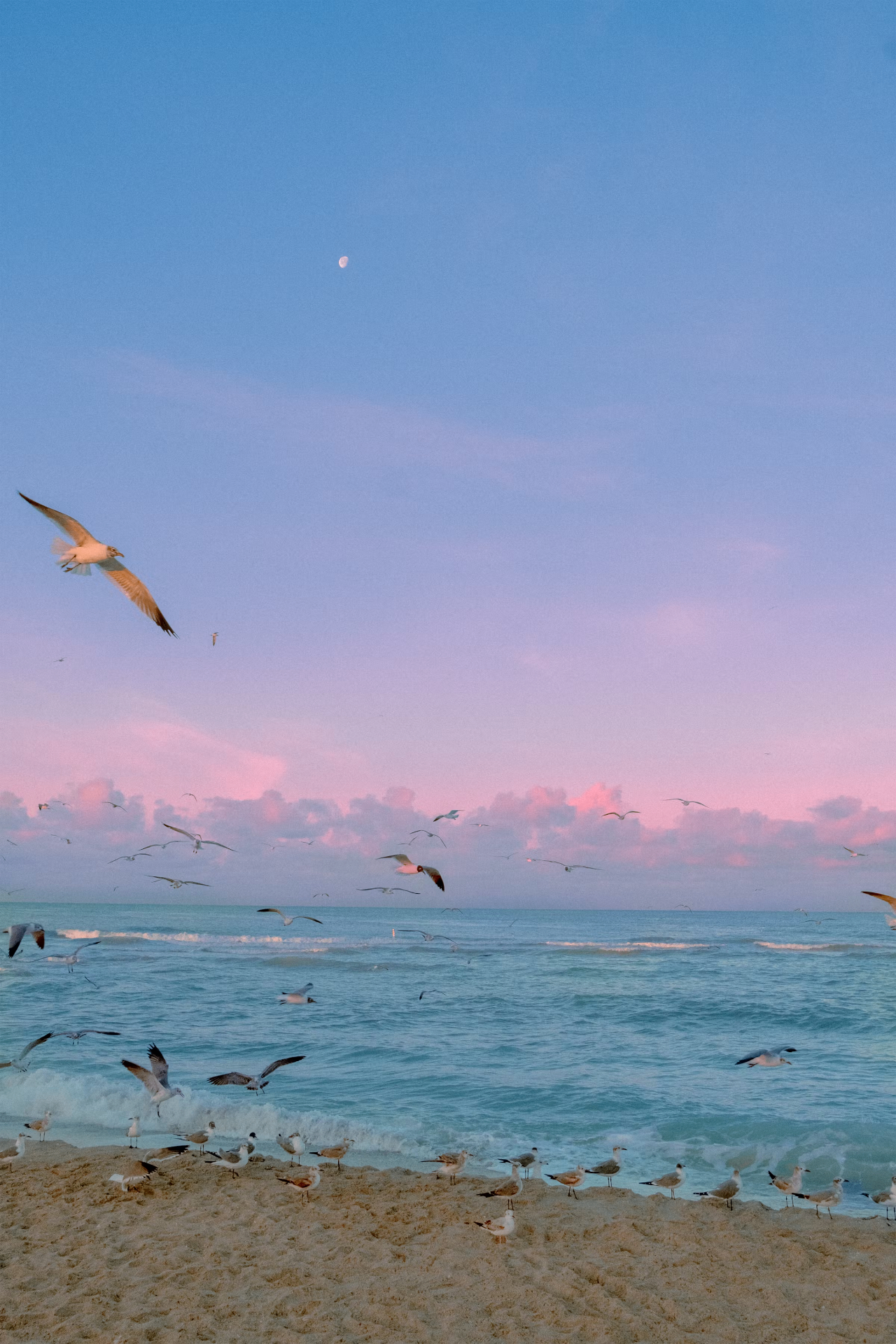 Digital Serenity